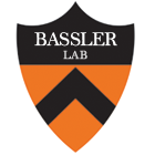 Bassler Lab Shield